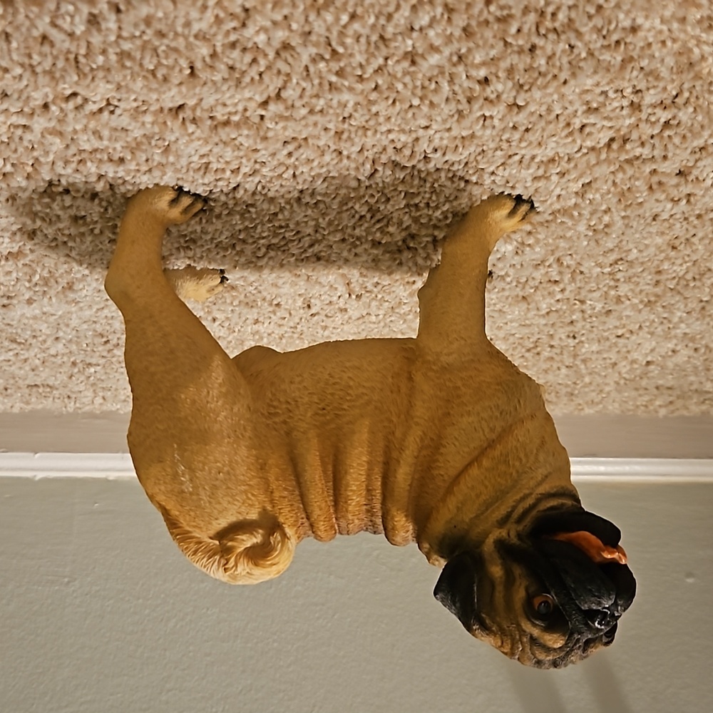 Pug collectors item